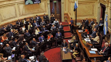 Inviolabilidad de la propiedad privada: el Senado tratará una ley que elimina límites para que extranjeros compren tierras