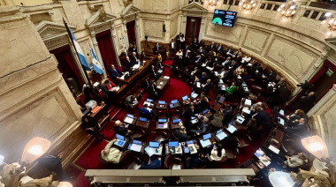 Senado: el Gobierno aprobó la ley de propiedad privada, pero tuvo que quitar otro capítulo