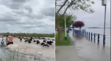 “En 15 días se tapan todos los campos”
