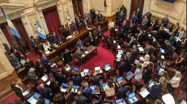 El Senado dio media sanción a la reforma de la Ley de Salud Mental