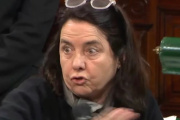 "No creo que los niños tengan derecho a ser curados en el Garrahan": polémica frase de una senadora