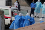 Tomarán muestras de roedores en Ushuaia para investigar los casos que se dieron en el crucero