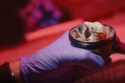 Nacieron los primeros pollitos de huevos artificiales impresos en 3D: cómo hicieron