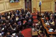 Inviolabilidad de la propiedad privada: el Senado tratará una ley que elimina límites para que extranjeros compren tierras