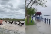 “En 15 días se tapan todos los campos”