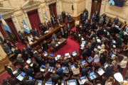 El Senado dio media sanción a la reforma de la Ley de Salud Mental